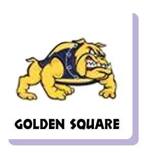 Check the Golden Square Cricket Club web site