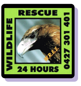 Visit the Wildlife Rescue Emergency Service web site